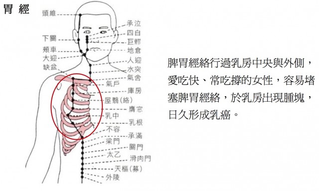 照片十四之後、胃經.jpg