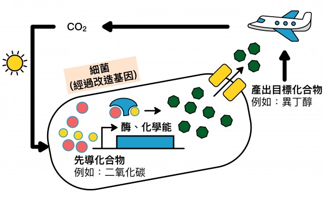 synthetic-biology-jamesC.liao-01-1.jpg