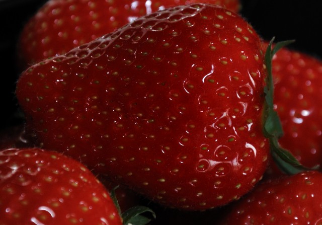 Strawberry - Fragaria.jpg