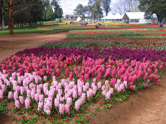 Floriade_canberra.jpg